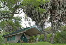 Lake Manze Tent Exterior17w