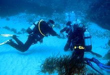 M Diver Training
