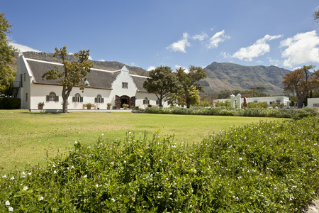 Steenberg Wines with frontiertours
